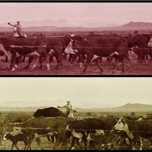 Janine Gordon Photograph 20x40" C-print Edition Cowboy Marfa Fine Art Horses